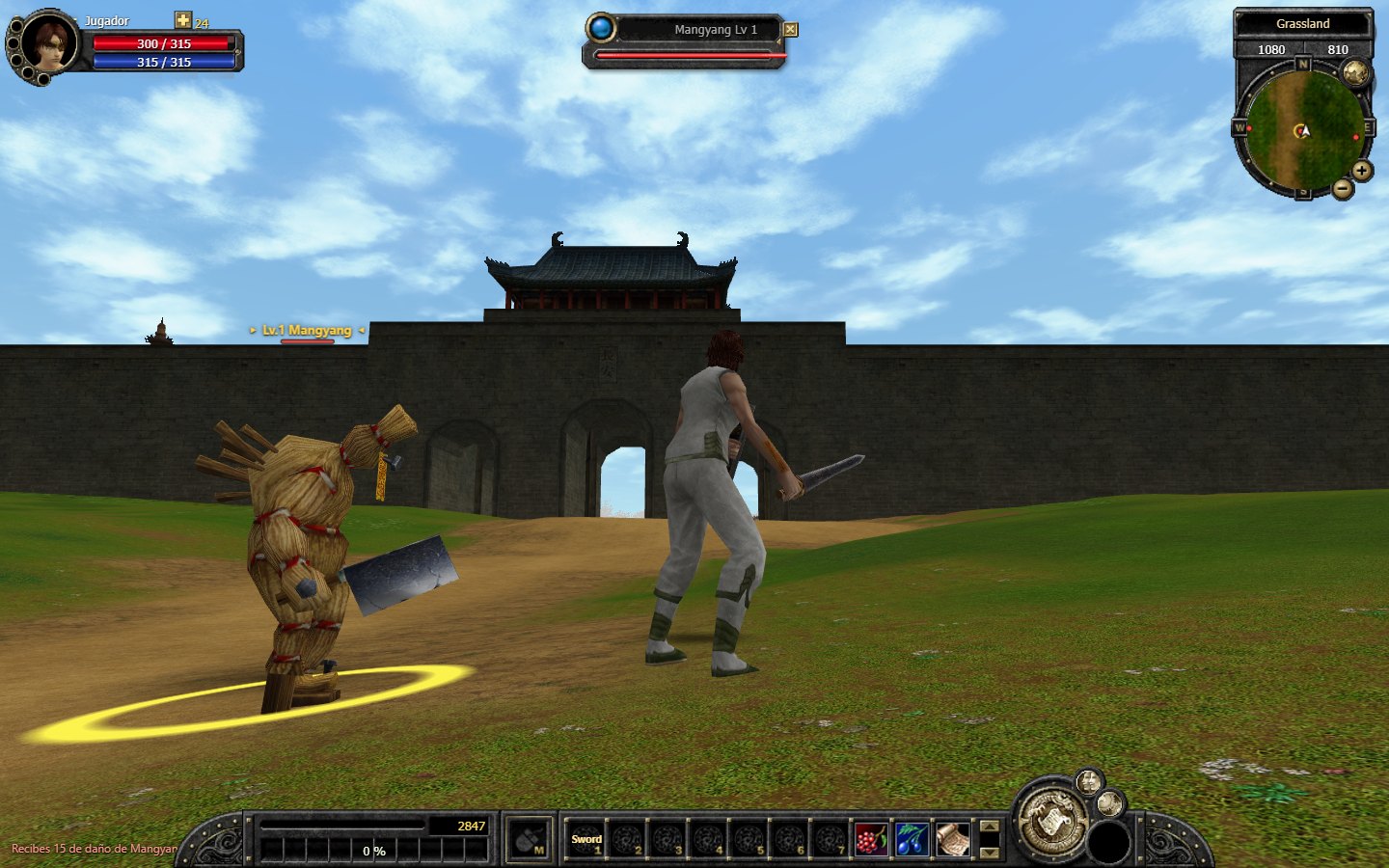The character fighting a monster on the grassland, with the target window showing its health.